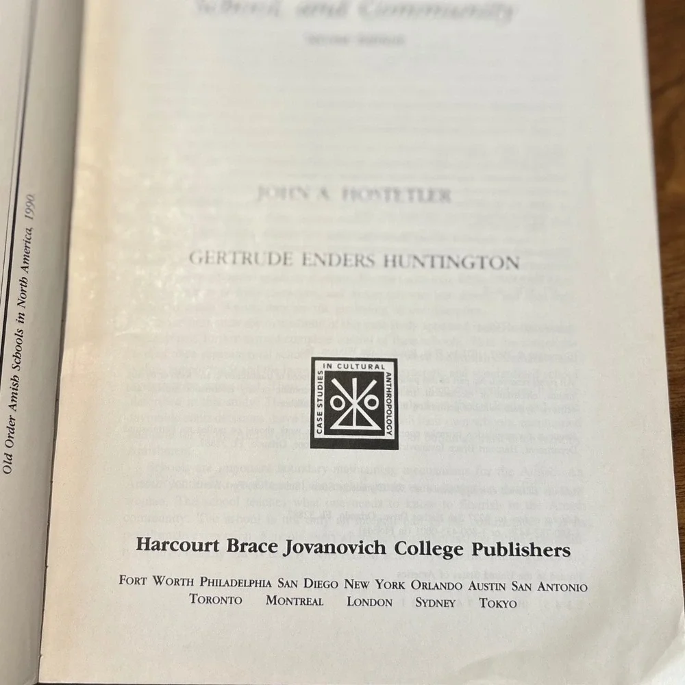 Amish Children Education Family School Community 2nd Ed Hostetler 1992 Sociology